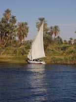 Nilo y faluca