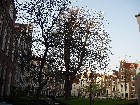 Amsterdam - Begijnhof
