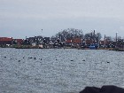 Marken - Vista