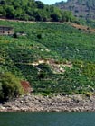 Vi�a de Amandi desde catamar�n