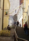 Calle Pata Corta
