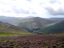 Monta�as Wicklow (Foto proporcionada por Tom�s Jes�s G�mez)