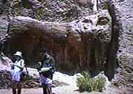 Fuente del le&oacute;n