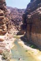 Desembocadura de Wadi Mujib
